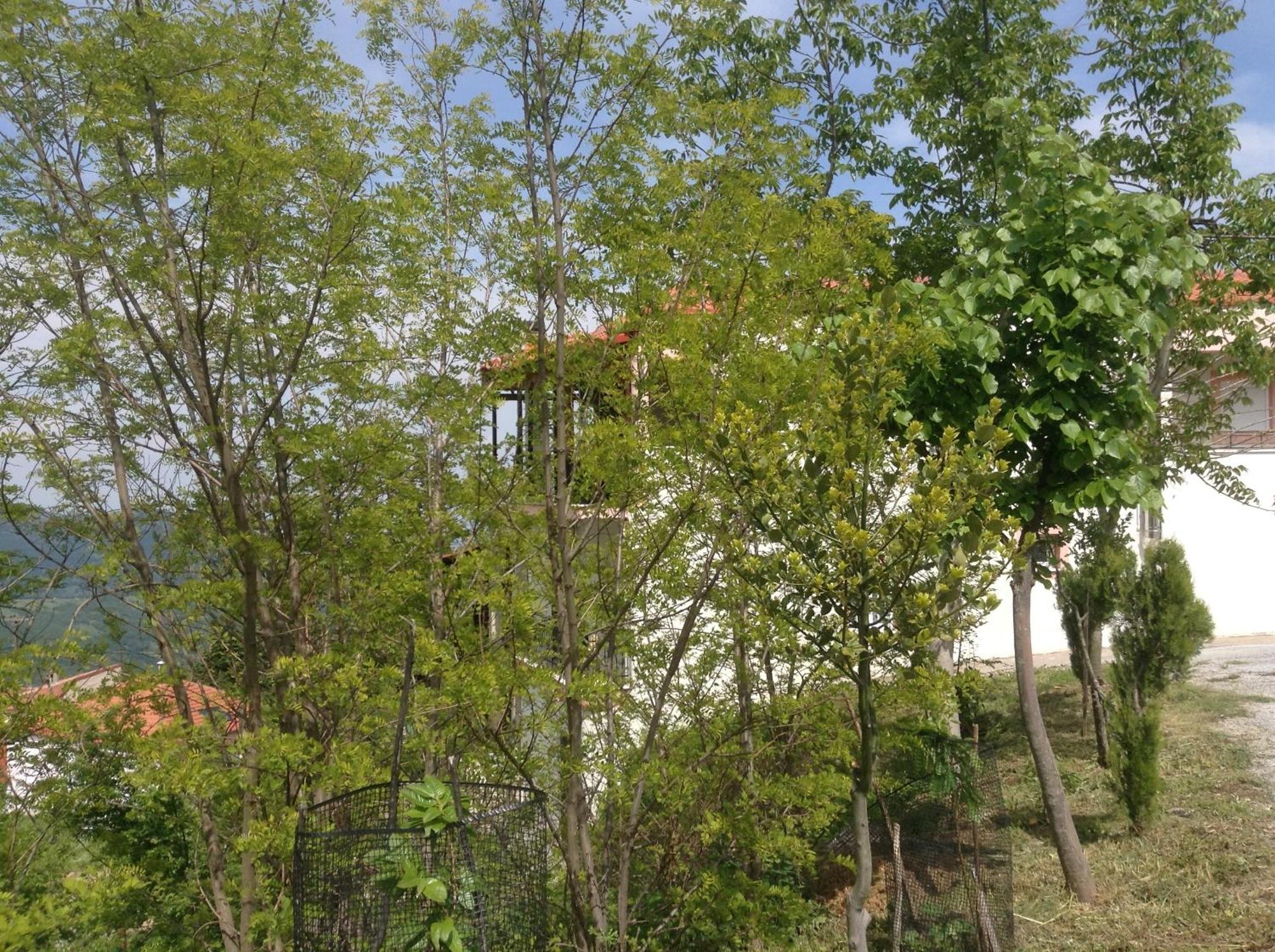 Πανδοχείο Λίμνης Πλαστήρα Hotel Kastania  Luaran gambar